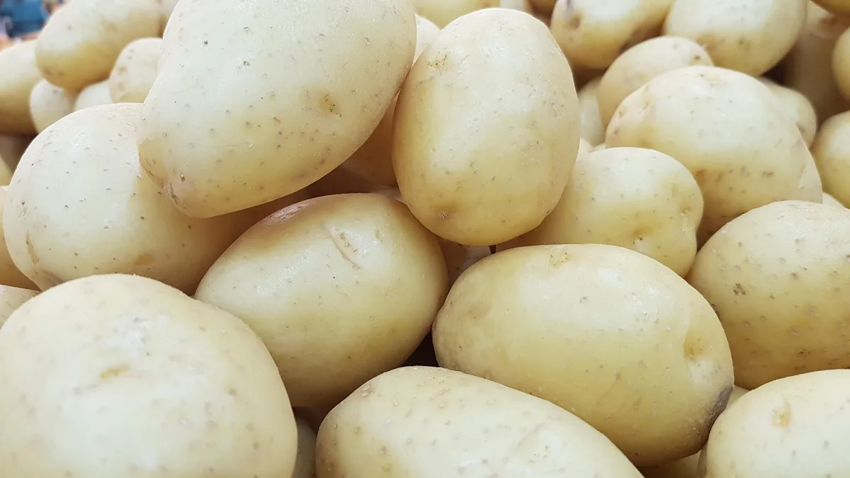 kartoffeln_francisco_chargas Die Ferien bremsen den Frühkartoffel-Absatz