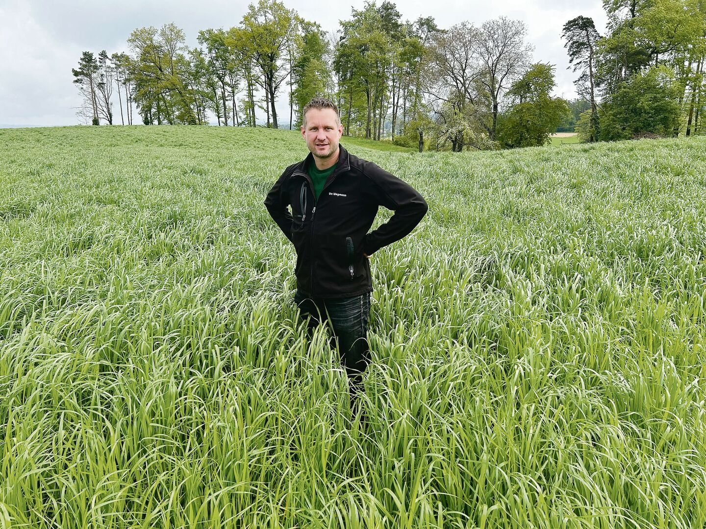 Diese Kunstwiese hat Landwirt Urs Wegmann mit Mulchsaat eingesät. Das gilt aber nicht für den Produktionssystembeitrag für die schonende Bodenbearbeitung.