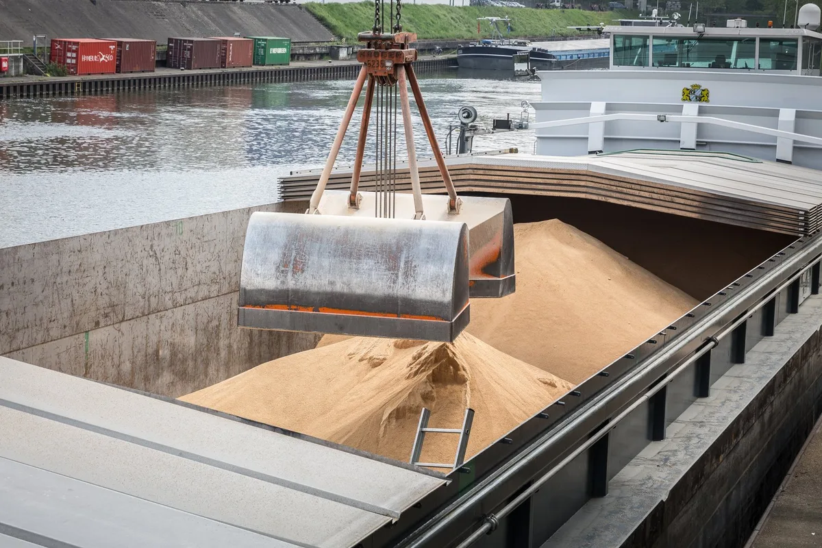 Produktionsstandards sollen bewirken, dass Soja nicht mehr auf gerodeten Regenwaldflächen angebaut wird. (Bild Yannik Andrea, Soja Netzwerk)