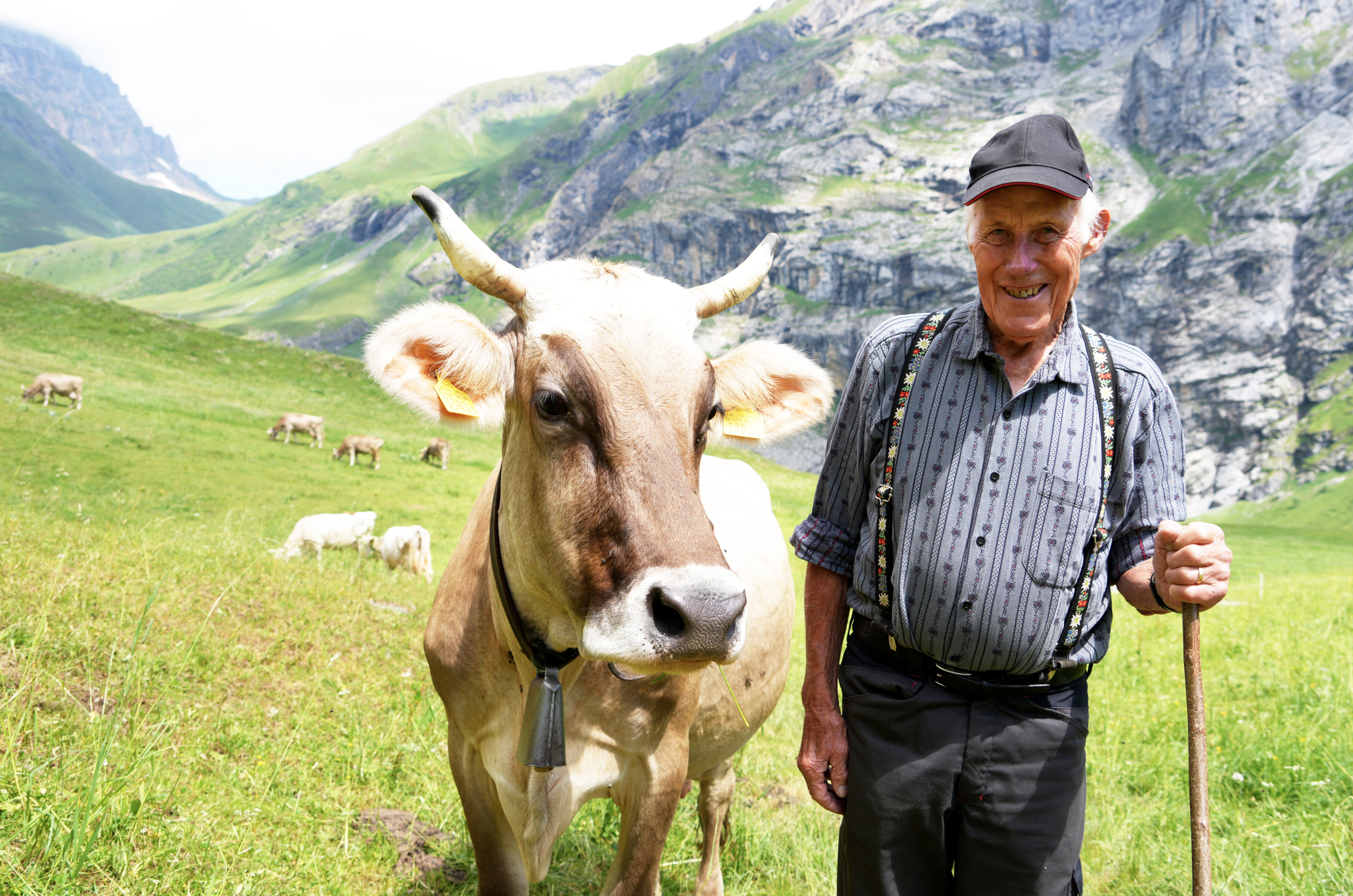 Sepp Zurfluh ist ein passionierter Braunviehzüchter. Seit 70 Jahren geht er z'Alp auf Hobiel beim Surenenpass.