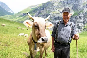 Sepp Zurfluh ist ein passionierter Braunviehzüchter. Seit 70 Jahren geht er z'Alp auf Hobiel beim Surenenpass.