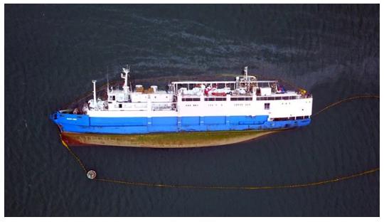 Warum das Schiff gekentert ist, soll nach Abschluss der Bergungsarbeiten untersucht werden. (Bilder Animal International / Facebook)