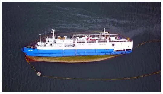 b5bc3338c69f4f37e5b33422b30b4d61f916fe22 Warum das Schiff gekentert ist, soll nach Abschluss der Bergungsarbeiten untersucht werden. (Bilder Animal International / Facebook)