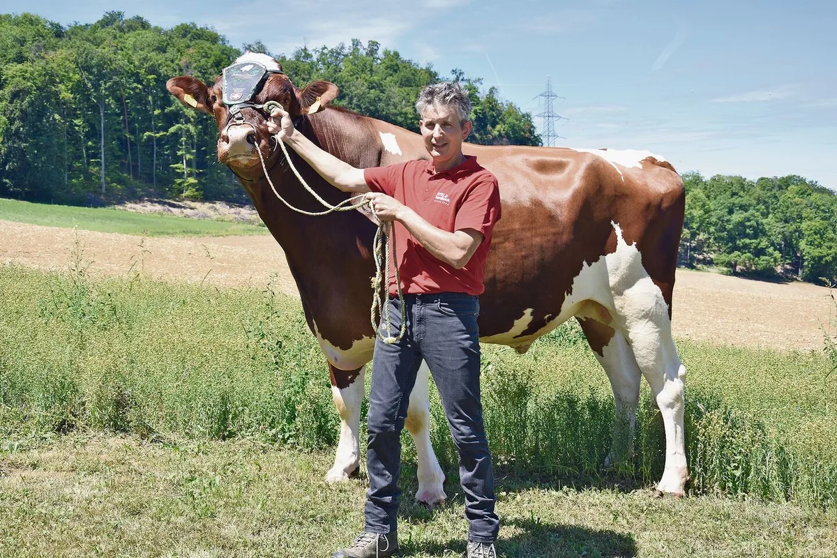 58cd55fe9ee74794e764a336bbfb1db353c89708ef377c50a09e30ac331cdd13 Der Hauptpreis vom ESAF in Pratteln. Der RH-Stier Amnesty Magnus von Jürg Degen aus Pratteln.