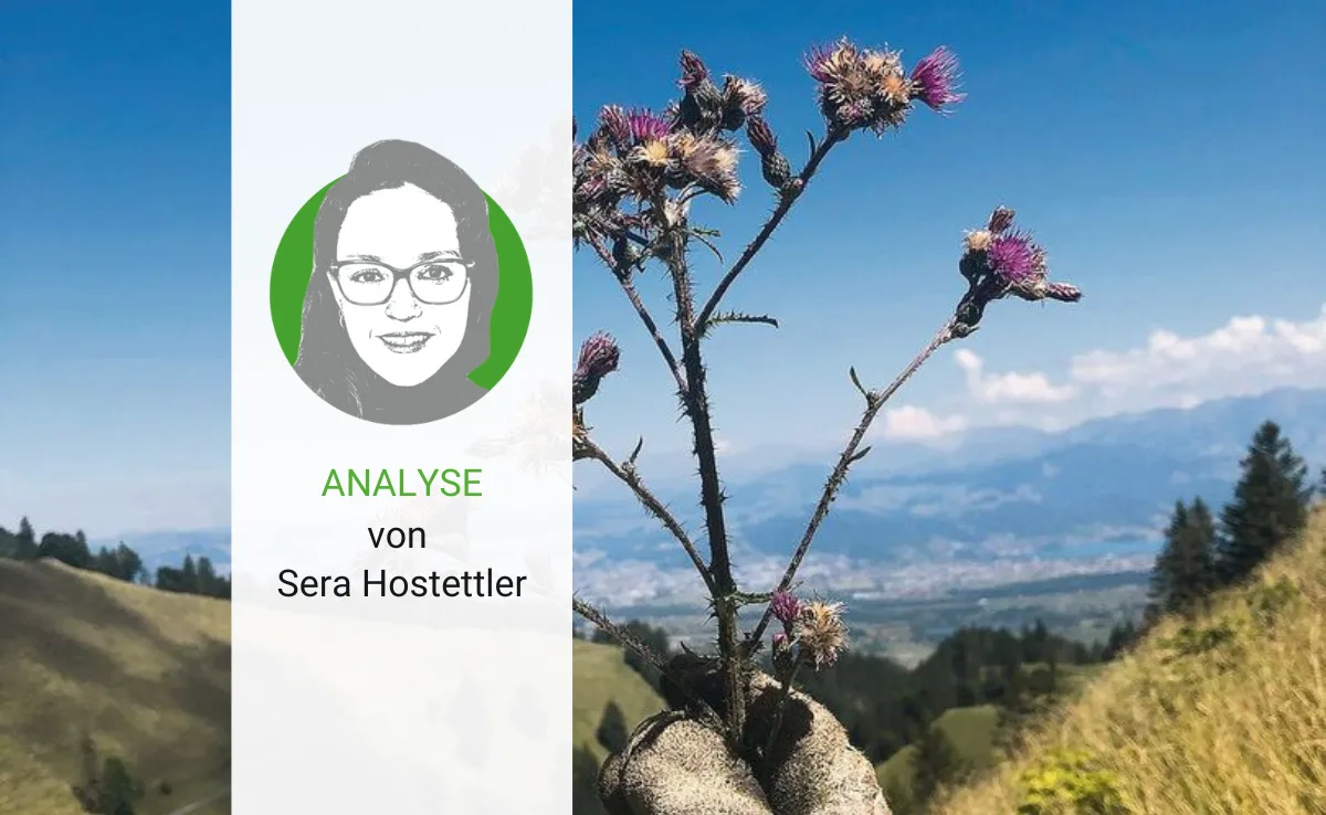 analyse-sera-38 Wenn alle Stricke reissen, bleibt nur noch die Tradition