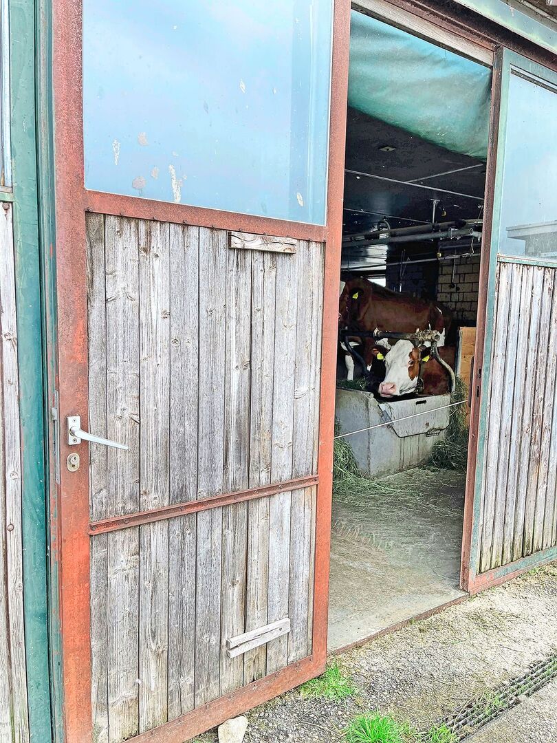 Stallungen dürfen in Abwesenheit des Tierhalters nicht ohne Weiteres betreten und kontrolliert werden.