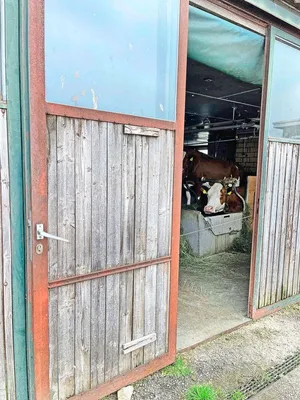 Stallungen dürfen in Abwesenheit des Tierhalters nicht ohne Weiteres betreten und kontrolliert werden.