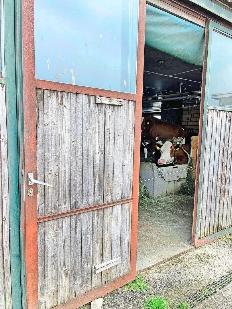3c3fed47d15737cbcb6cd72e3ee02a33dba6821f31d21b46728f3e2405b7debc Stallungen dürfen in Abwesenheit des Tierhalters nicht ohne Weiteres betreten und kontrolliert werden.