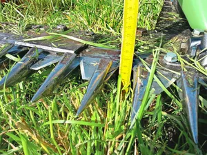 Gerade mit dem Motormäher wird häufig zu tief gemäht. Auch damit sollte die optimale Schnitthöhe von 8 cm eingehalten werden. Dafür gibt es Hochschnittkufen.