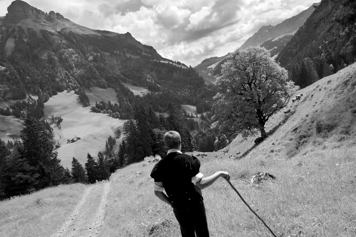 393947e047bb4465d5cf6d101b89feee7acbfece Hansueli steht zwischen dem Hohgant, der Schrattenfluh und dem Brienzer Rothorn, seine Kühe auf der Alpauffahrt herbeirufend. (Bild Pinaki)