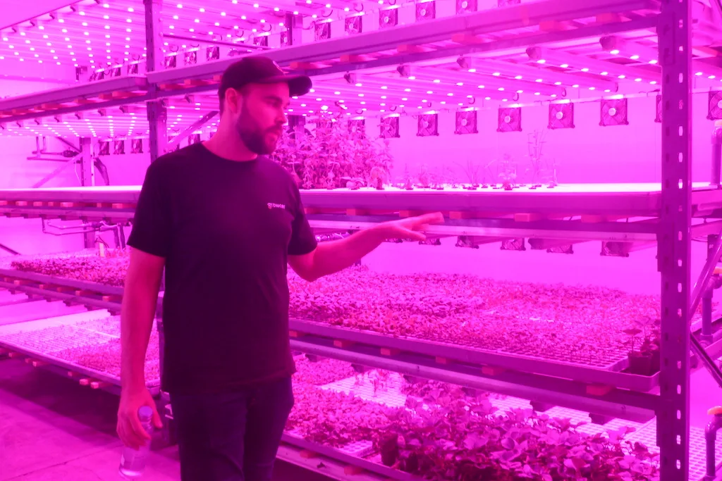 bfec06c10864aaadc087ea1b17aef1a8c17a4380 Marcel Florian, CEO der Growcer AG, anlässlich einer Betriebsbesichtigung im Juni 2020. Das Unternehmen wollte nicht nur die Migros beliefern, sondern auch international aktiv sein und plant etwa einen Anlage im Wüstensaat Dubai. (Bilder Jil Schuller/BauernZeitung)