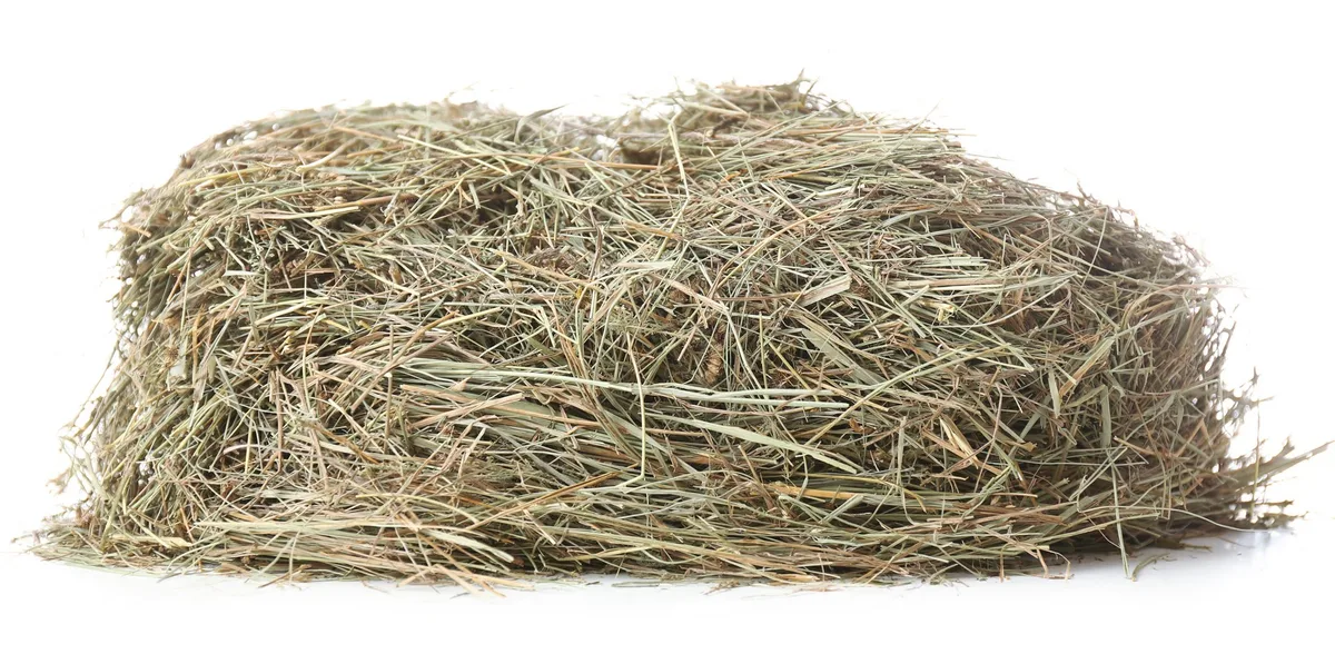 Fotolia_63186936_L Ein Haufen Heu vor weissem Hintergrund.