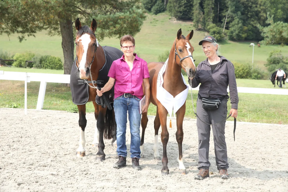 Sieger-Stutfohlen_roGerber_s_Noelia__Nordica_de_la_Burgis__von_Rosmarie_Gerber_aus_Biembach Lob und gute Noten für die Züchter in Hasle-Rüegsau