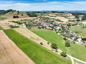 In Mandach gibt es bereits viele alte Hecken und Rebmauern an den Hängen sowie verstreut stehende Hochstammbäume. Deren Bestände seien allerdings lückig geworden – den Siedlungsrand haben laut dem Jurapark Aargau einst hunderte von Hochstämmern dominiert.
