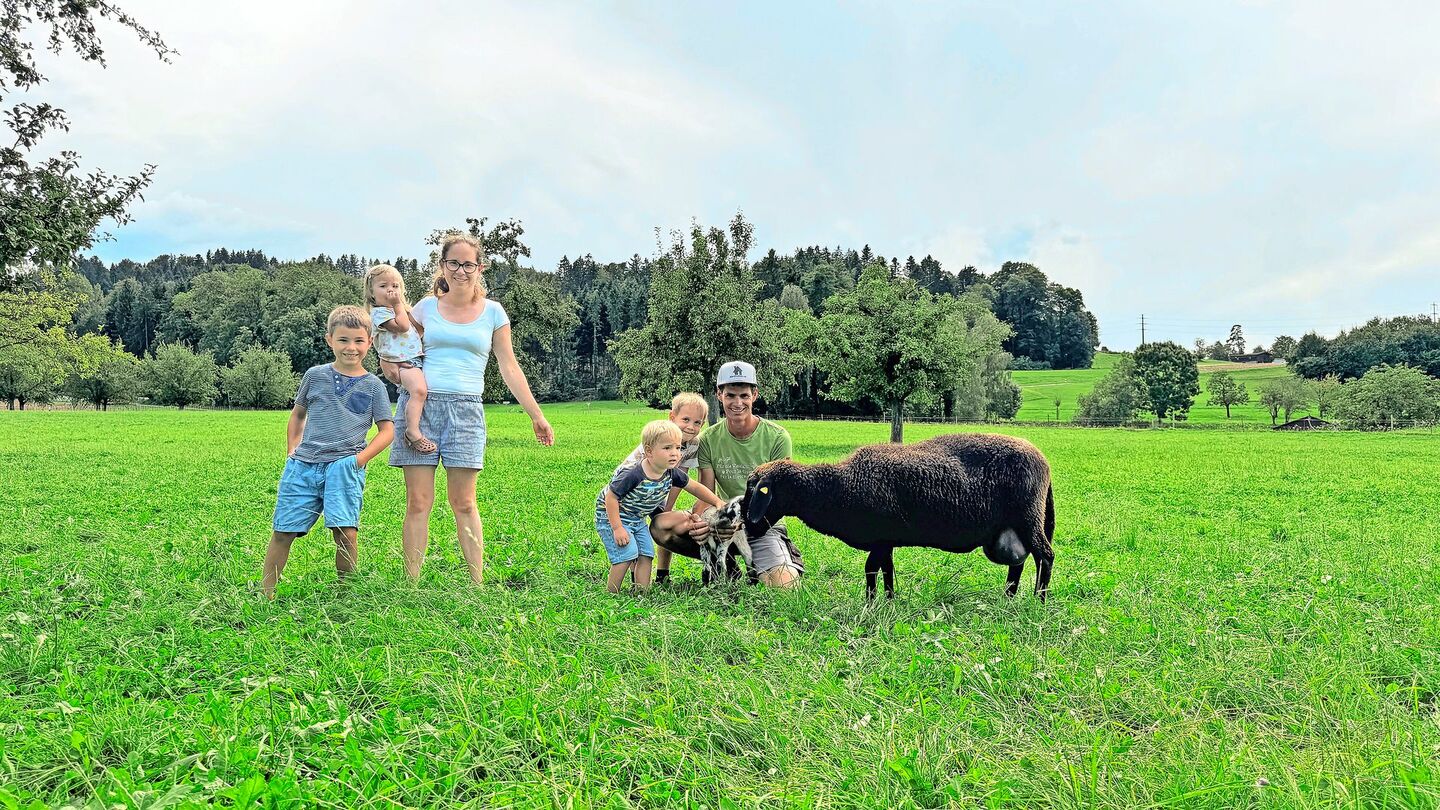 Reto Greminger (ganz rechts kniend) und Andrea Greminger (Mitte stehend) mit ihren Kindern Dario, Dian, Leano und Alina schätzen die Zutraulichkeit der Engadinerschafe.