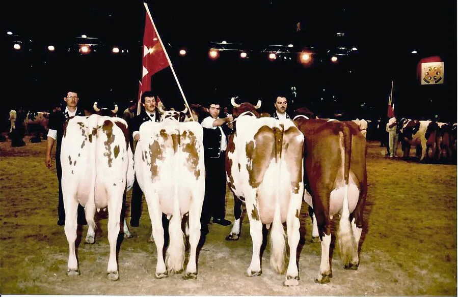 An der Europameisterschaft 1996 holte die Schweizer Delegation im Länderwettbewerb mit ihren jungen Kühen den zweiten Platz. Sieger wurde die Gruppe aus Deutschland.