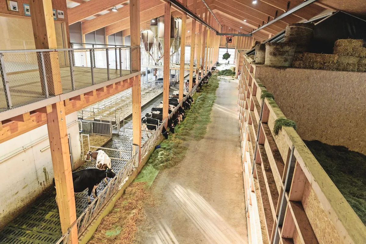 Für die Käsereimilch-Produktion auf dem Betrieb Grangeneuve braucht es hochwertiges Dürrfutter. Das Futter aus den vier Heustöcken auf der rechten Seite kann direkt mit dem Heukran an der Krippe abgelegt werden.