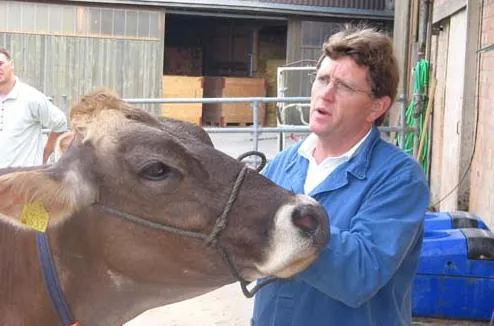 712966ae6a1304544155da2c8ee093fa4fdfad13 Ein passionierter Braunviehzüchter: Peter Gfeller präsentiert eines seiner Tiere vor internationalen Agrarjournalisten. (Bild akr)