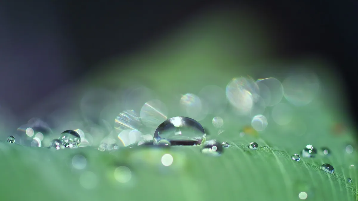 dewdrops-g4d8b4d4f8_1920 So trocken und sonnig war der März schon lange nicht mehr