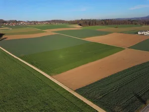 In den Kantonen Luzern und Aargau – auf dem Bild bei Habsburg – wird das meiste Land nach ÖLN-Richtlinien bewirtschaftet. Auch im kommenden Jahr gibt es keinen Biorutsch. (Bild Gian Wolleb)