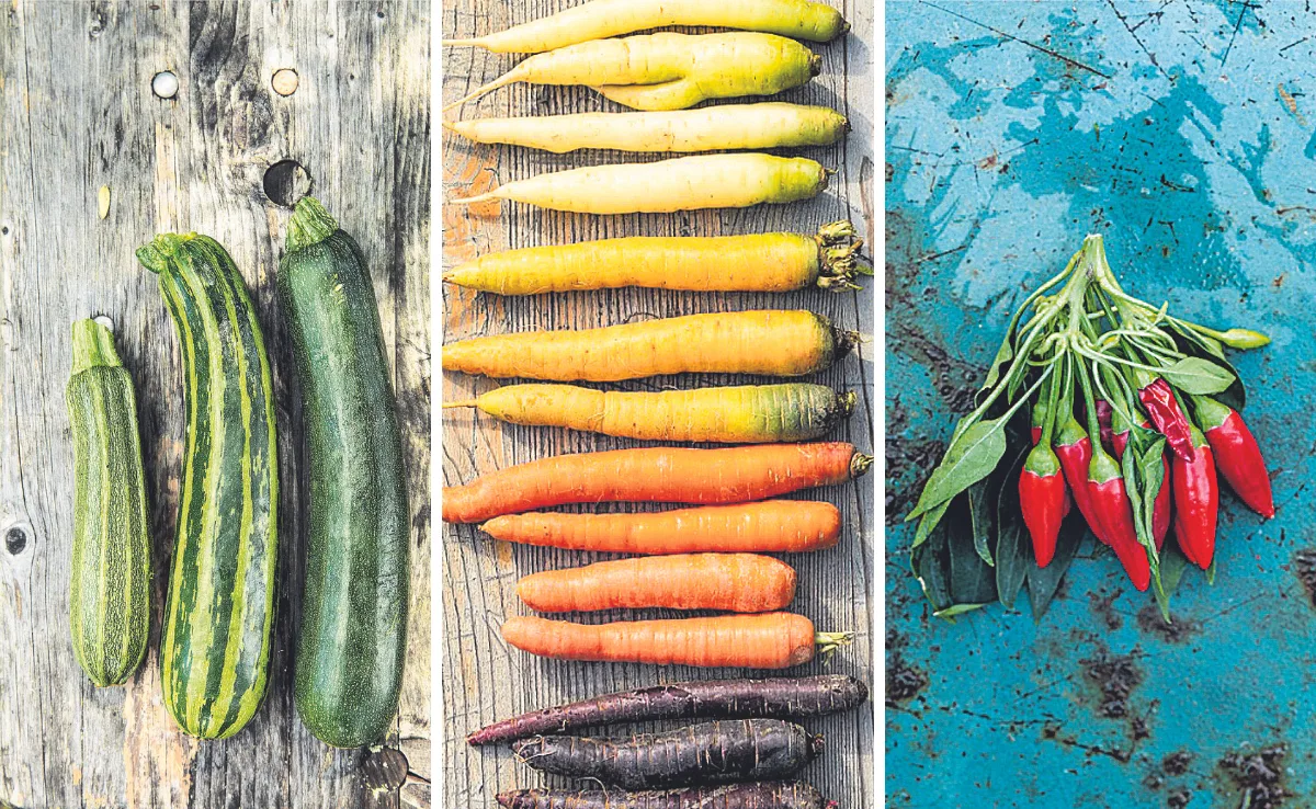 153 Hofprodukte zum Kaufen gluschtig fotografieren