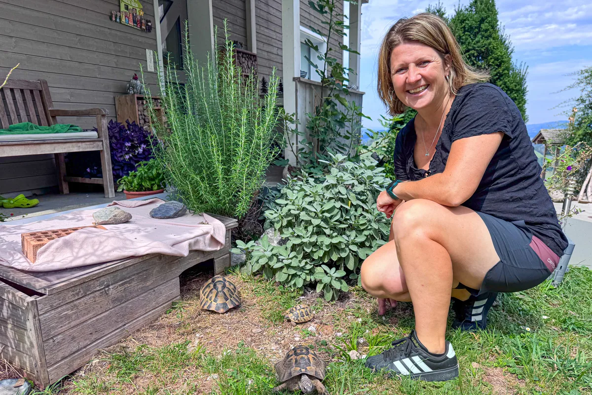 Martina_Kaeslin_Schildkroete Die «Lieblinge» der Bäuerin sind ihre Schildkröten.