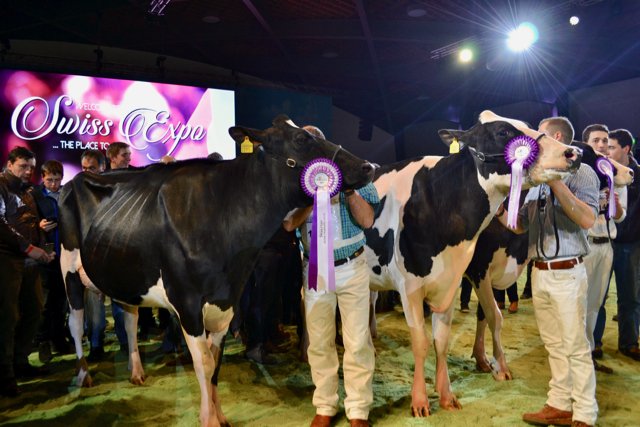 Intermediate Champion Atwood Daria (links) und die Reserve Elina. (Bilder jba)