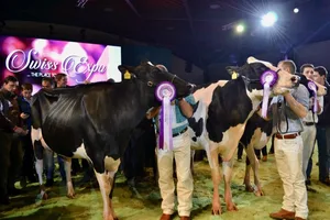 Intermediate Champion Atwood Daria (links) und die Reserve Elina. (Bilder jba)