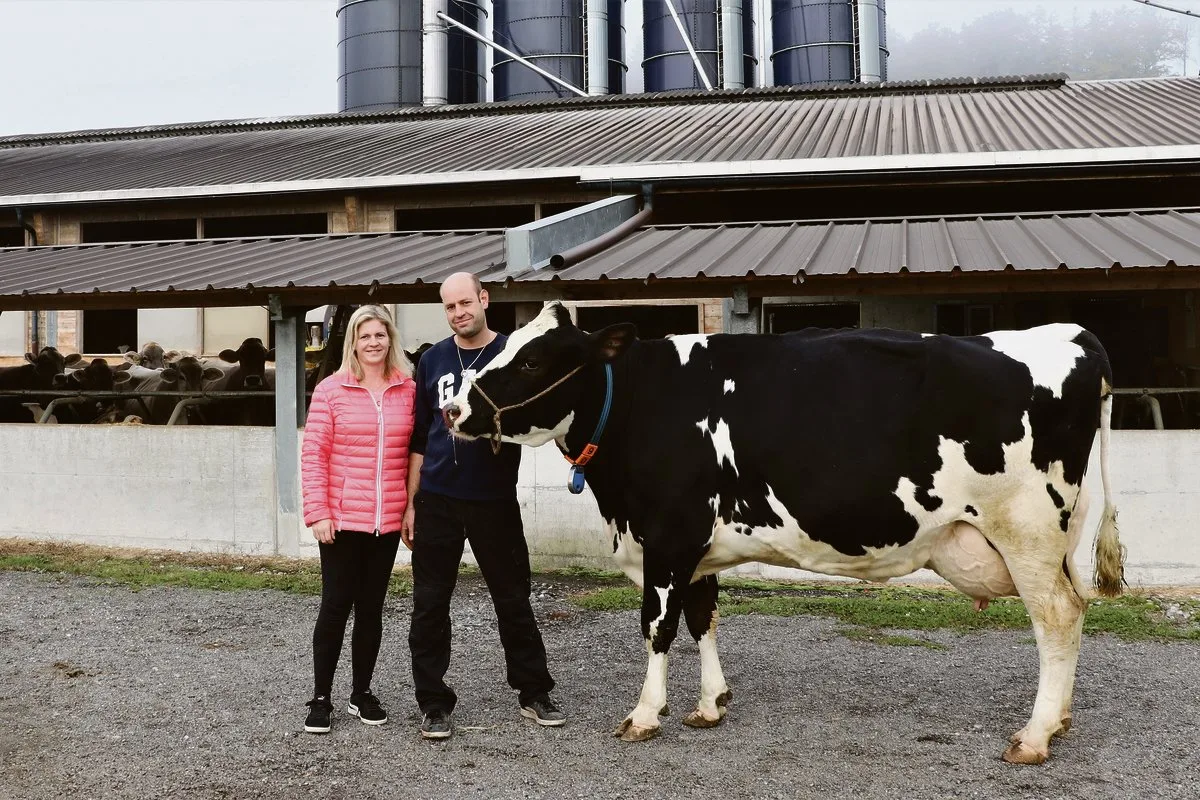 8a1d475ce51b6d0ca5ae364c0fbbfe5452e9304d Colin-Tochter Arbona war die erste Holsteinkuh, die Daniela und Peter Keller an der Aargauer Auktion gekauft haben. (Bild Ruth Aerni)