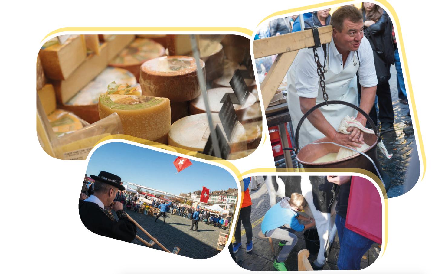 Für das Käsefest am Bodensee wird ein abwechslungsreiches Programm geboten. (Screenshot cheese-festival.ch)