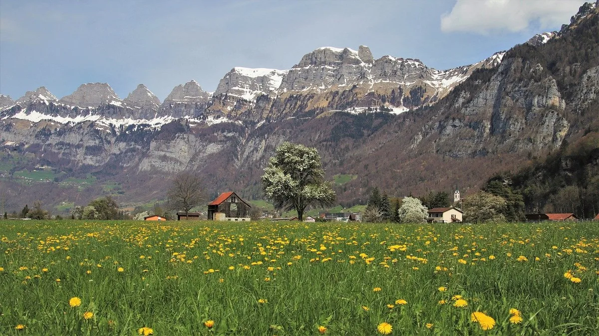 b8ccdf10b364c3edaeca3ff08f839cdb8ec66b9e Die Schwerpunkt der Strategie Nachhaltige Entwicklung sind die Biodiversität, das Klima und der Konsum. (Bild Pixabay)