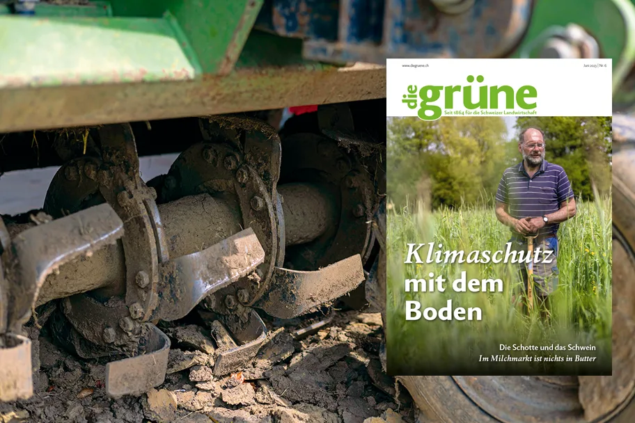 DG_23-06_3zu2_Titelbild «die grüne» im Juni 2023 - Klimaschutz mit dem Boden
