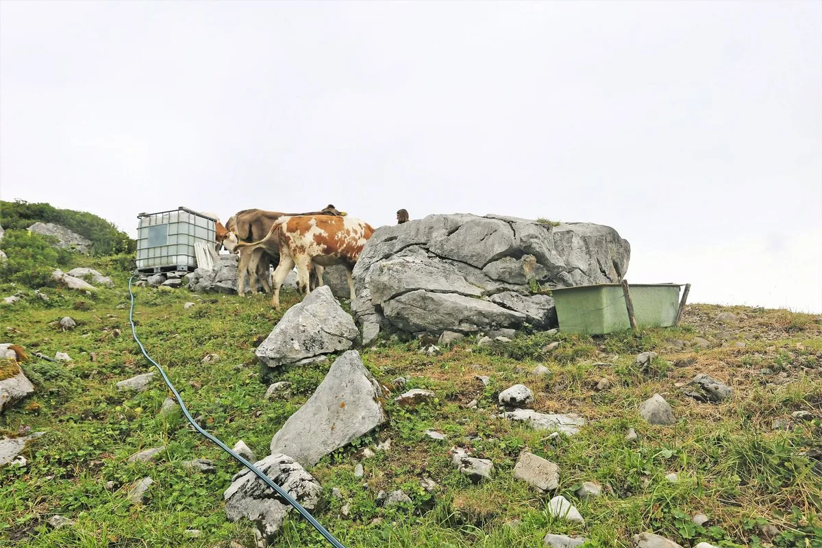 Die Wasserversorgung auf den Alpen ist durch die Trockenheit anspruchsvoll geworden.