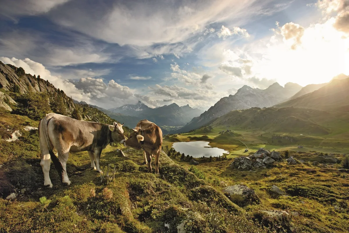 ca8d6eff6c7a0ba1f2dee830e0851bd820aeb99d Naturpärke (hier der Naturpark Beverin) bestechen mit viel Natur und schönen Landschaften. (Bild Schweiz Tourimus/bafu)