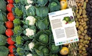 Bei Demeter sind alle Züchtungen, die auf einer mittels Zellfusion übertragenen cytoplasmatischen männlichen Sterilität (CMS) beruhen, verboten. Die neue Liste der CMS-freien Sorten gilt für 2022/2023.