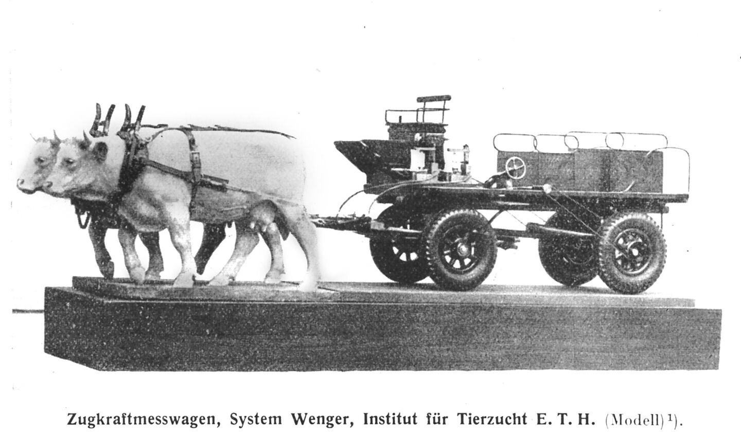 Das Modell des an der ETH entwickelten Zugkraft-Messwagens, den Hans Wenger benutzte. Der Agronom untersuchte im Rahmen seiner Dissertation die Zugleistung von Rindern.