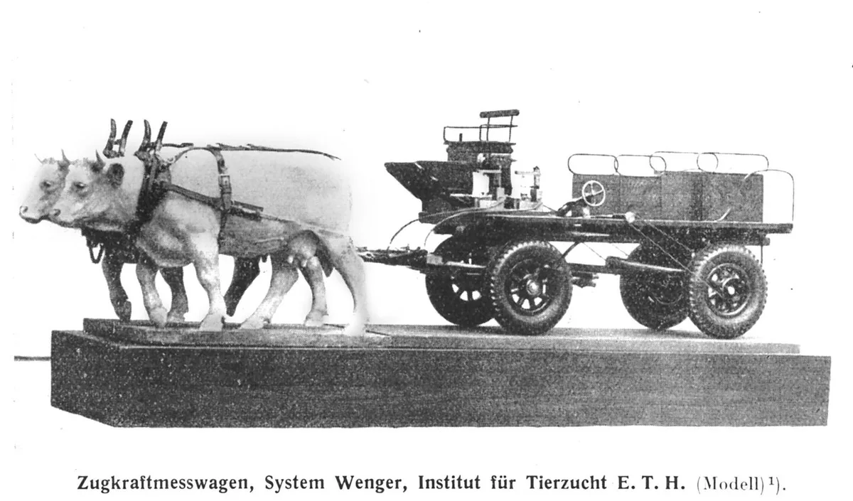 Das Modell des an der ETH entwickelten Zugkraft-Messwagens, den Hans Wenger benutzte. Der Agronom untersuchte im Rahmen seiner Dissertation die Zugleistung von Rindern.