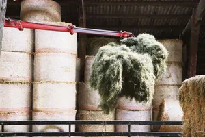 Die Heustöcke sind zwar mittlerweile gefüllt. Dennoch kann sich die Futterqualität im Lager verändern – und schnell verschlechtern. Gewisse einfache Methoden unterstützen die Kontrolle.
