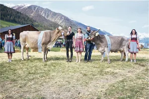 Die Miss Brown Swiss Franzen BS Salomon Sina (links) von Marcel und Renato Franzen aus Betten und die OB-Miss Edual Hanna von Michael Christen aus Binn.