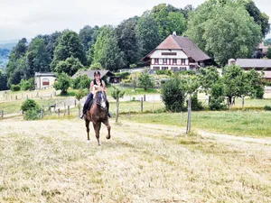 Wenn das Ökoheu gemäht ist, erlaubt der Bauer bei trockenen Bedingungen auch mal einen Galopp über die Wiese.
