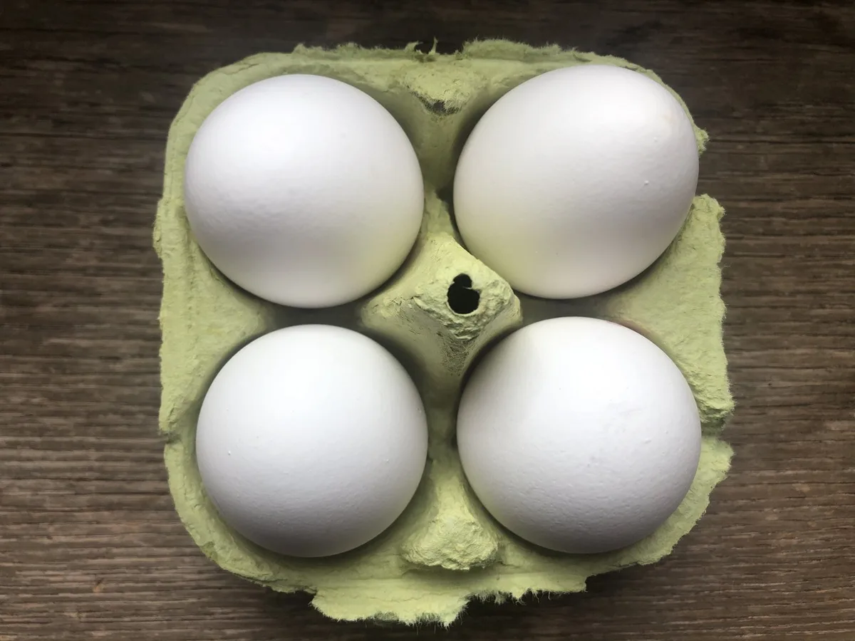 EierGewicht Wie schwer darf ein Ei sein? Gewichte schwinden mit der Zeit natürlich