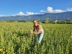 Grössere Erfahrung im Quinoa-Anbau als Mirjam Lüthi hat in der Schweiz wohl niemand.