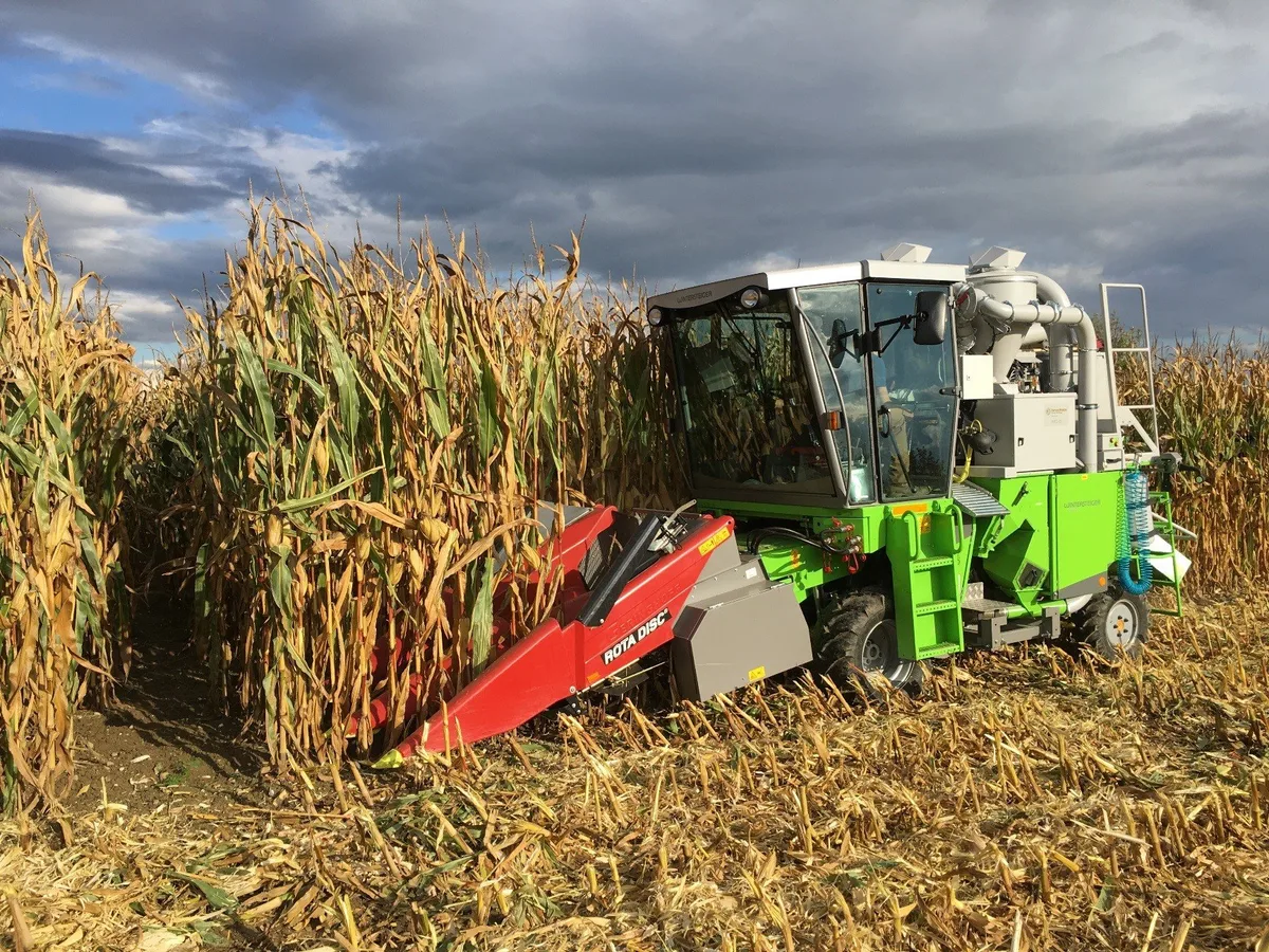 Koernermaisernte_Quelle_Agroscope Swiss Granum empfiehlt neue Sorten für den Mais- und Sojaanbau
