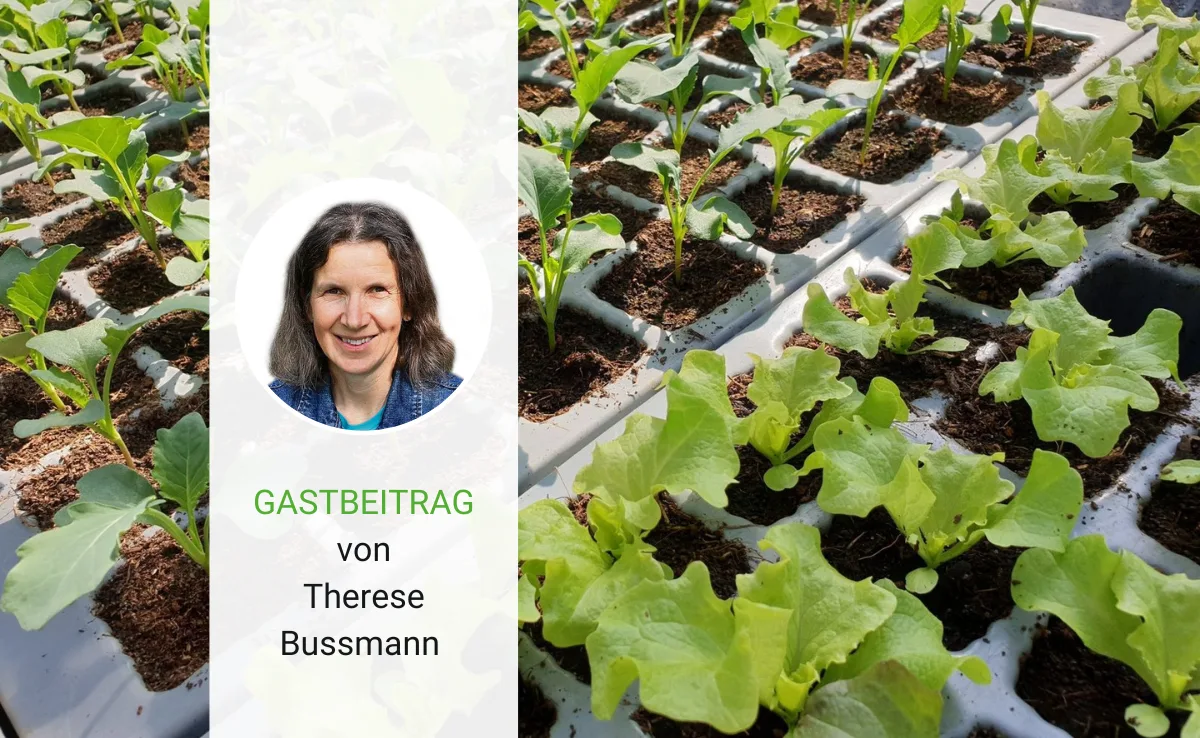 Artikel_Gastbeitrag_BauZ_Bussmann «Säen macht Freude», sagt Therese Bussmann