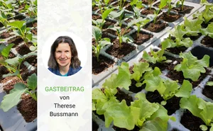 Therese Bussmann aus Menzberg LU ist Bäuerin und Mutter von sechs erwachsenen Kindern. Sie hat früher unterrichtet, arbeitet noch auf dem Betrieb des Sohnes mit.