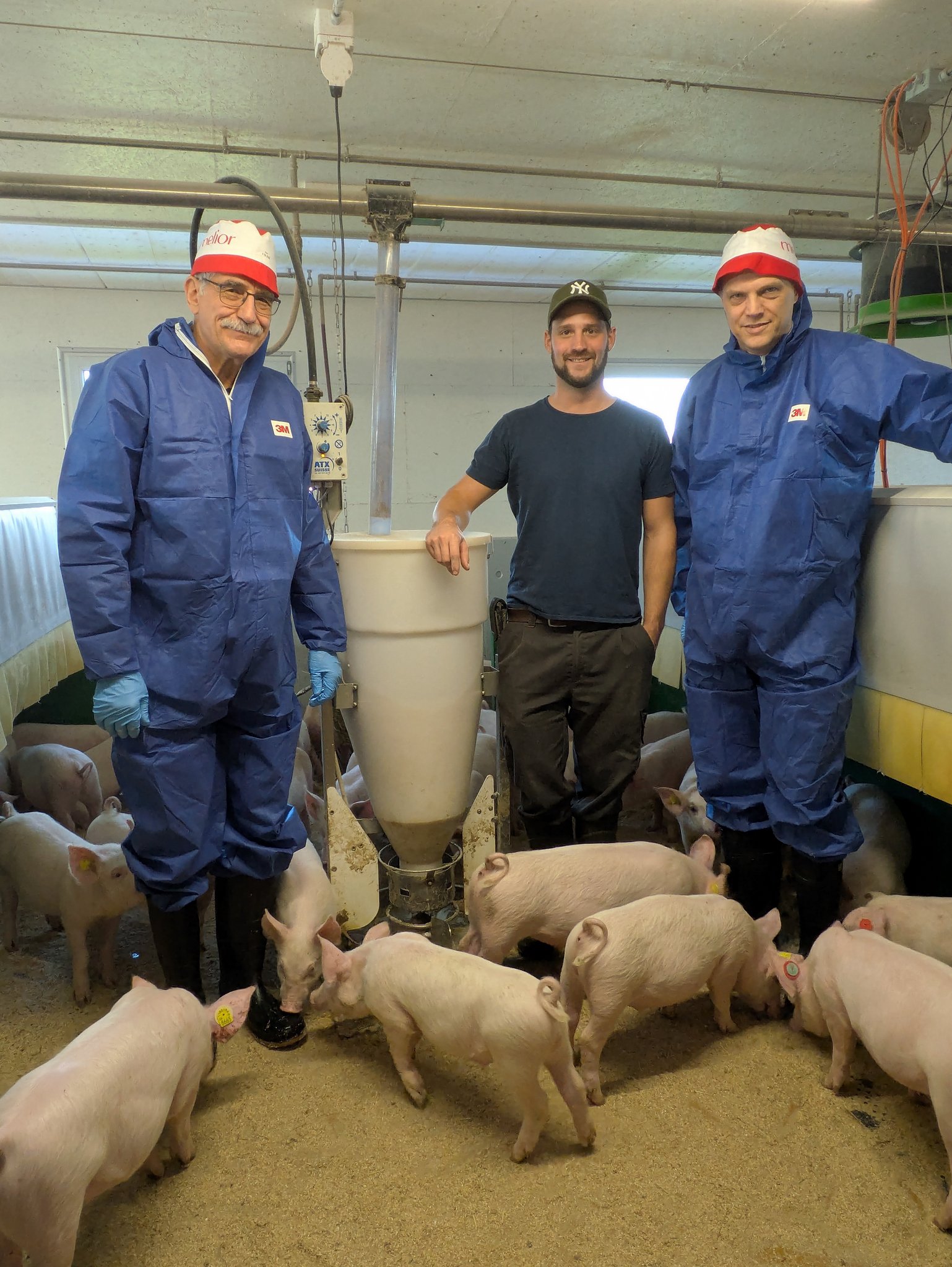 Stabiler Schweinemarkt, aber grosse Herausforderungen