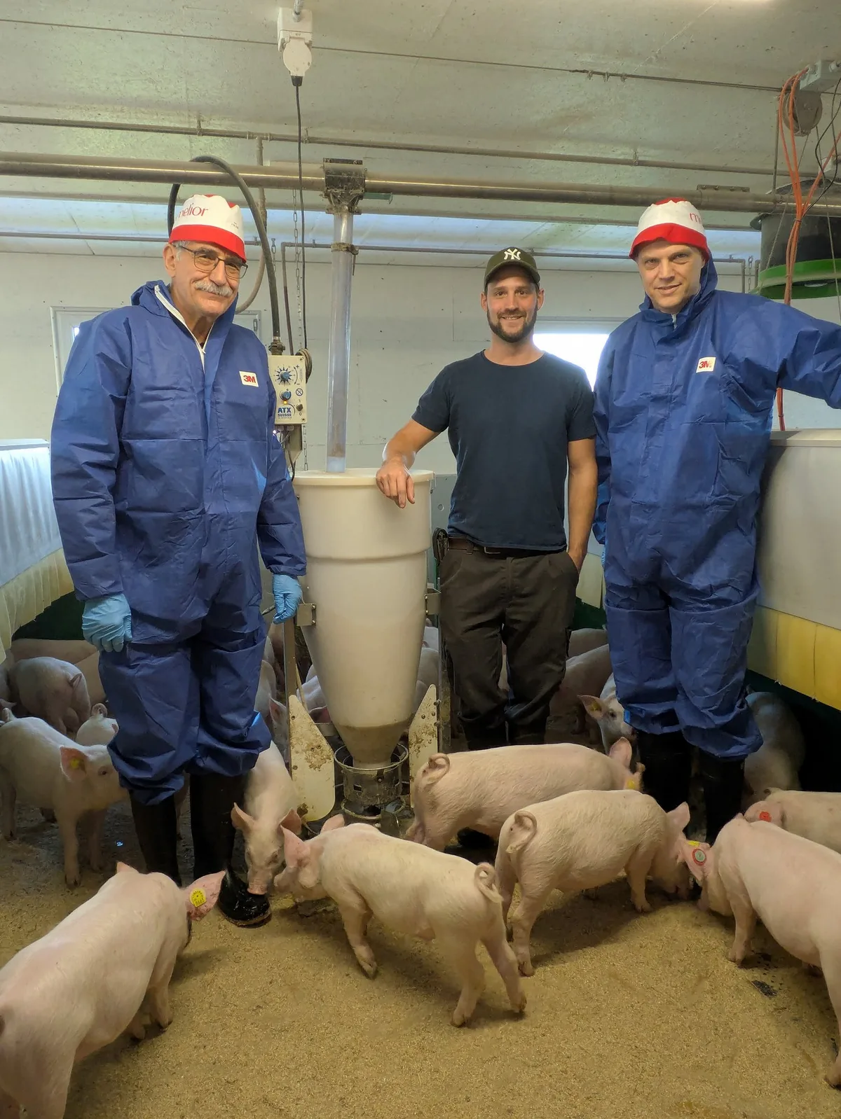 Melior_20250109_101845162_64_ Stabiler Schweinemarkt, aber grosse Herausforderungen