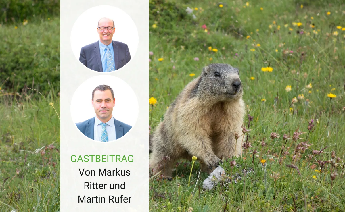 Und täglich grüsst das Murmeltier