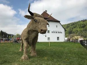 Eindrücklich: Der überlebensgrosse Stier aus Heu. (Bild jr)