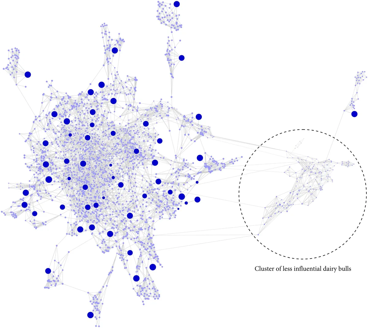 Mittels DNA-Informationen sollen bedeutsame Zuchttiere in Populationen erkannt werden. (Bild: Gyaneshwer Chaubey, Estonian Biocentre)
